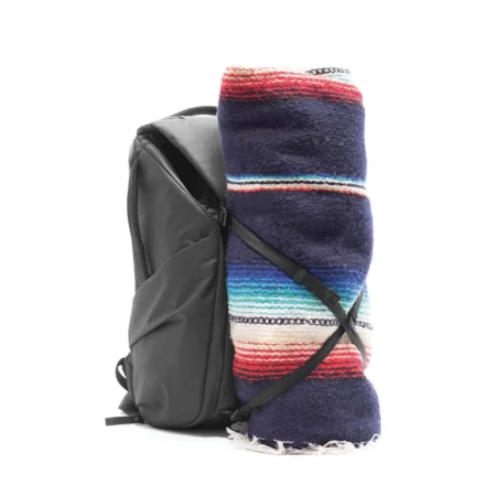 Everyday Backpack